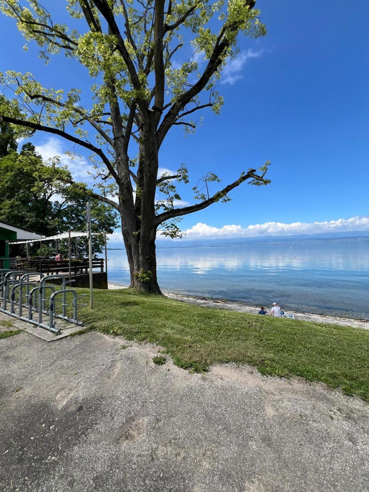Berges Du Leman-coeur De Appartement Thonon-les-Bains