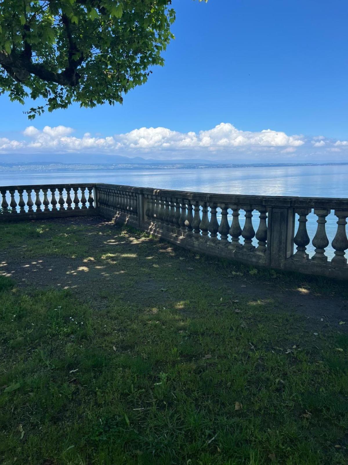 Berges Du Leman-coeur De
