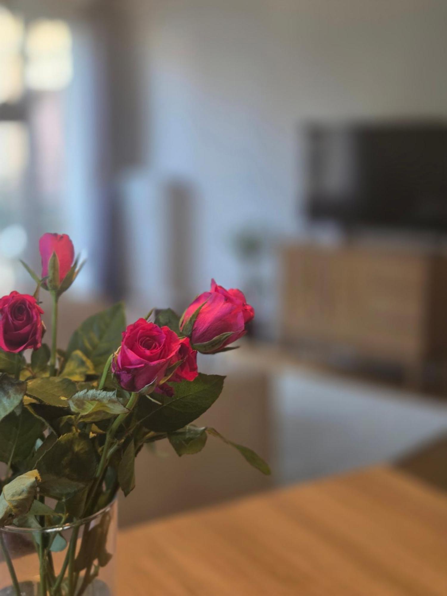 Berges Du Leman-coeur De Appartement *